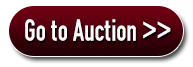 Go To auction